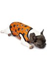 roupa pet personalizada laranja