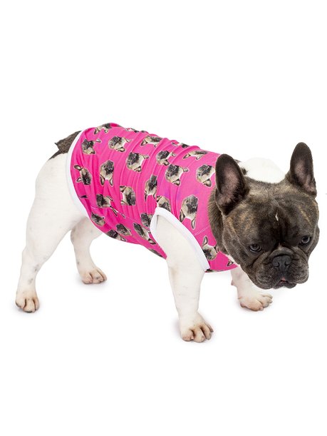 Roupa pet personalizada rosa