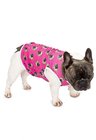 Roupa pet personalizada rosa Roupa pet personalizada rosa