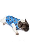 Roupa pet personalizada azul