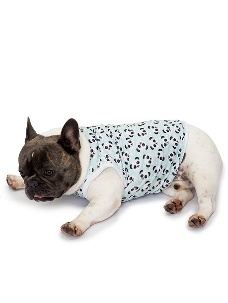 roupa pet divertido patinhas pandinhas green