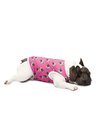 Roupa pet personalizado rosa Roupa pet personalizado rosa