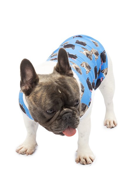 Roupa pet personalizada azul