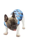 Roupa pet personalizada azul
