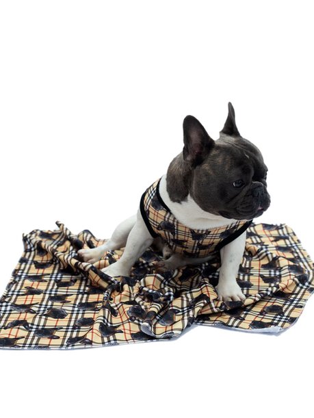 Manta pet personalizada caqui