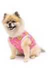 Roupa pet divertido bananas pink Roupa pet divertido bananas pink