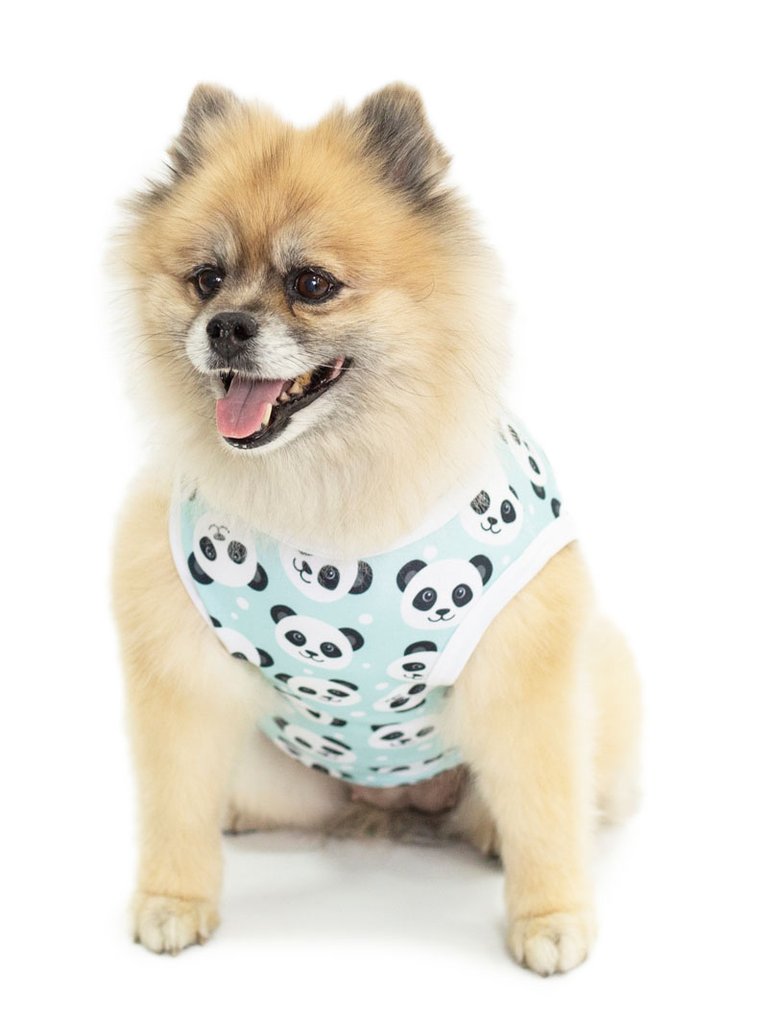 Roupa pet divertido corações pandinha Roupa pet divertido corações pandinha