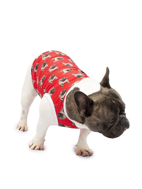 Roupa pet personalizado vermelho