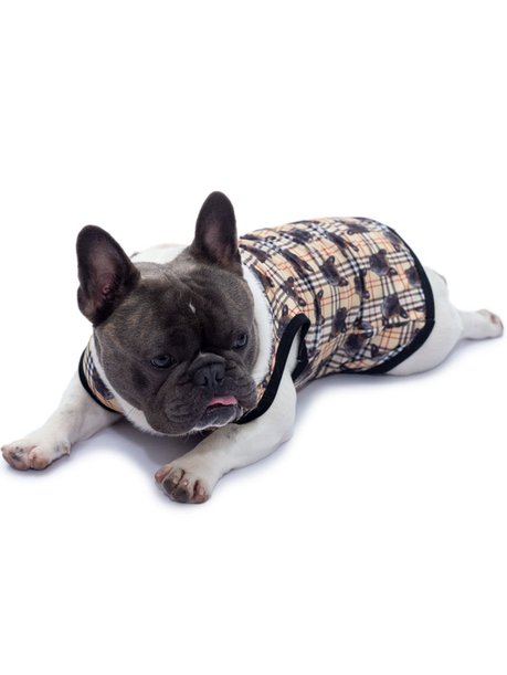 Roupa pet personalizado caqui