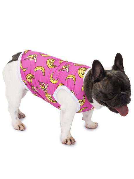 roupa pet divertido bananas pink