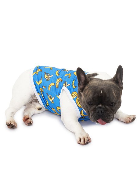 roupa pet divertido bananas blue