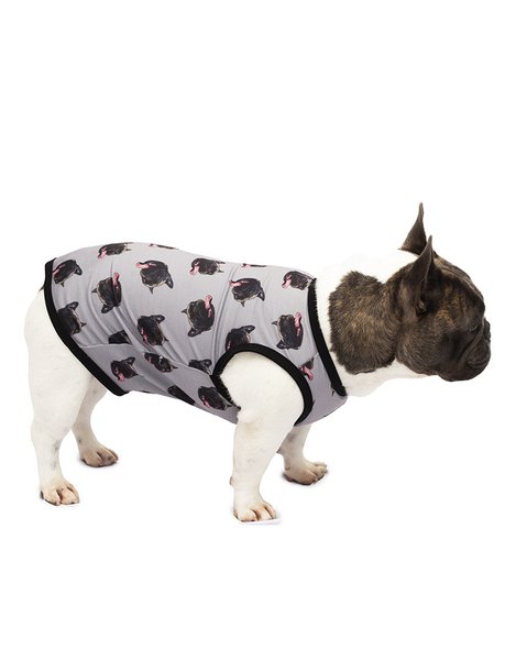 roupa pet personalizado cinza