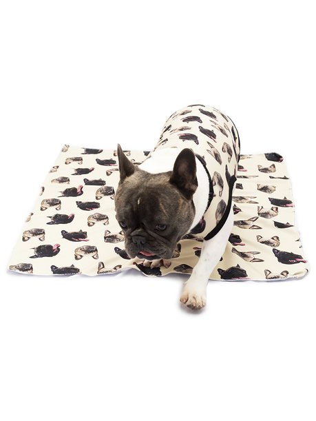 Roupa pet e manta pet personalizado bege