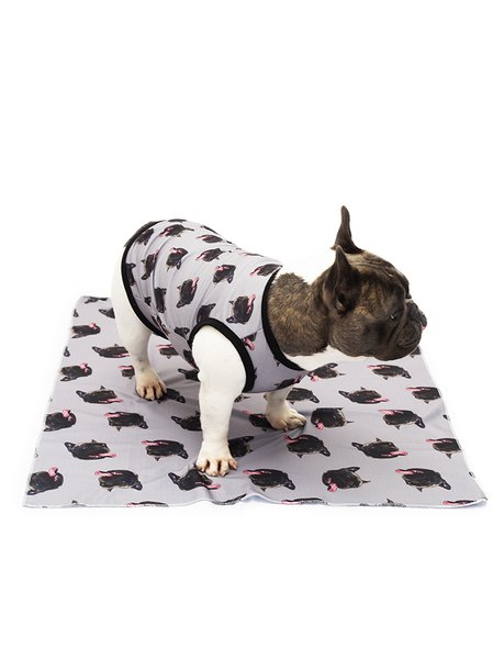 Roupa pet e manta pet personalizado cinza