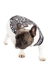 02 roupa pet dog black