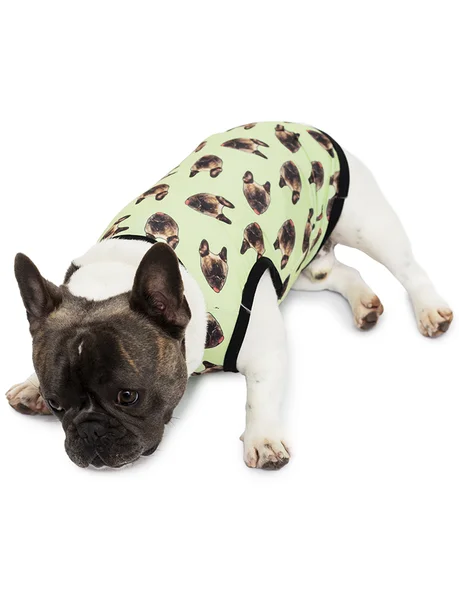 01 roupa pet personalizada verde menta