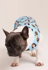 01 roupa pet personalizada azul bebe
