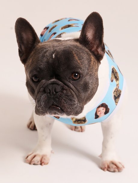 02 roupa pet personalizada azul bebe