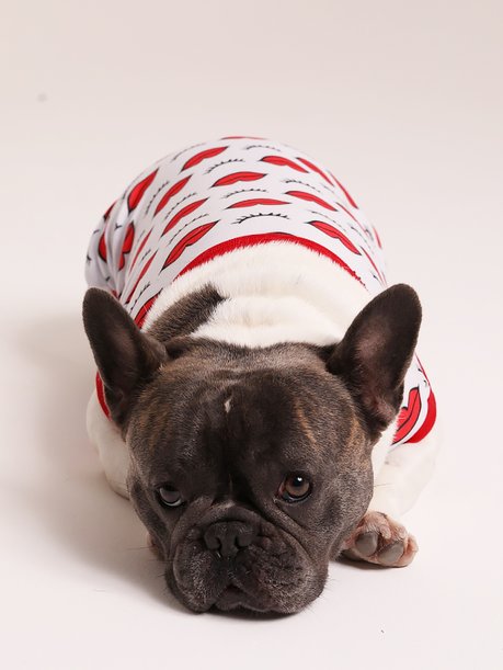 08 pijama infantil unissex curto girl power