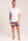 16 short masculino arco iris