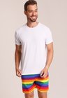 20 short masculino arco iris