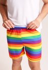 22 short masculino arco iris