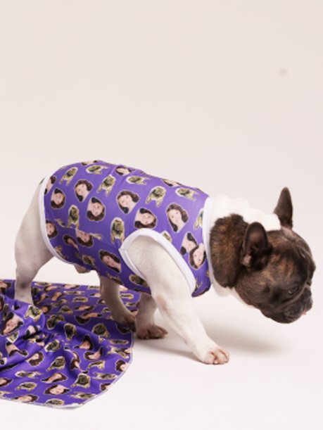 03 roupa pet personalizada roxo