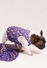 03 roupa pet personalizada roxo