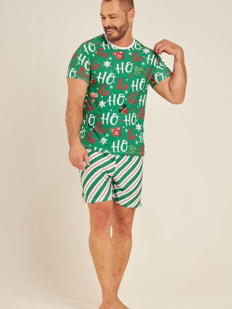 06 pijama masculino curto natal hoho green