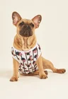 03 roupa pet personalizada listras pretas
