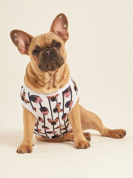 04 roupa pet personalizada listras pretas
