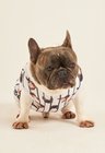 05 roupa pet personalizada listras pretas