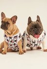 10 roupa pet personalizada listras pretas