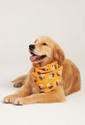 05 bandana pet personalizada laranja