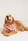 02 bandana pet personalizada rosa salmao