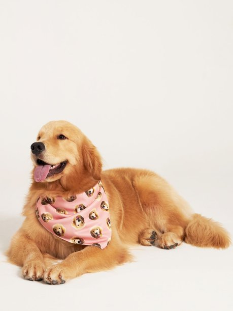 03 bandana pet personalizada rosa salmao