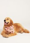 03 bandana pet personalizada rosa salmao