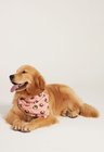 04 bandana pet personalizada rosa salmao