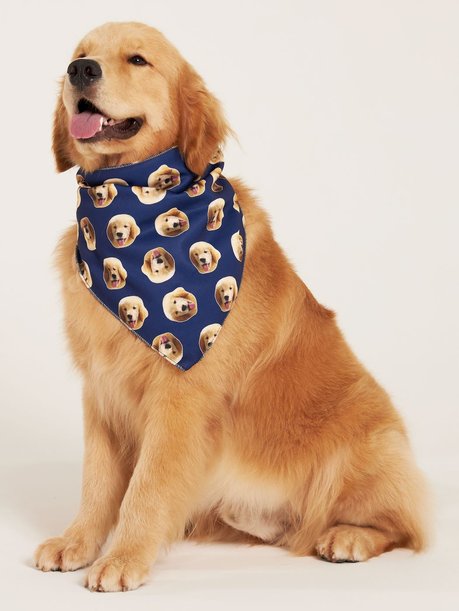 04 bandana pet personalizada azul marinho