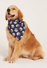 04 bandana pet personalizada azul marinho