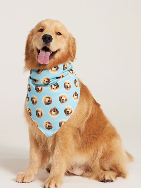 01 bandana pet personalizada turquesa