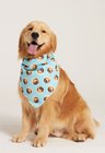 01 bandana pet personalizada turquesa