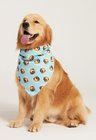 02 bandana pet personalizada turquesa