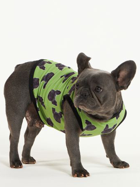 01 roupa pet personalizada pistache