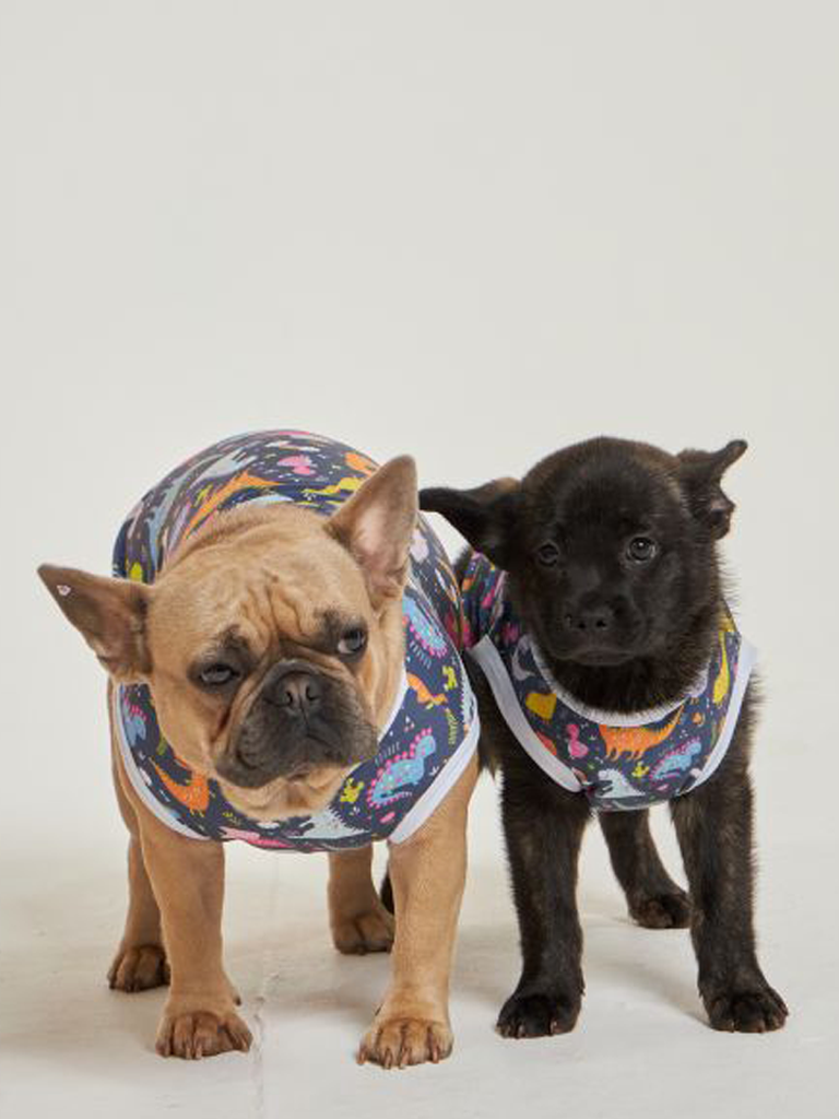 01 divertido roupa pet dinossauro