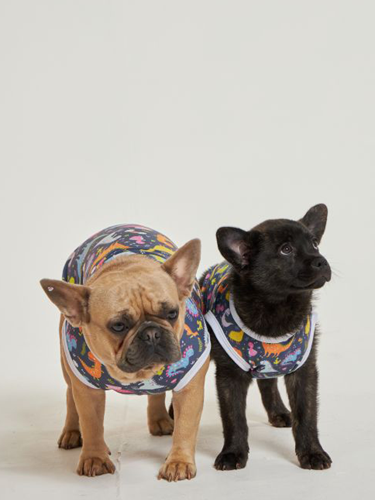 02 divertido roupa pet dinossauro