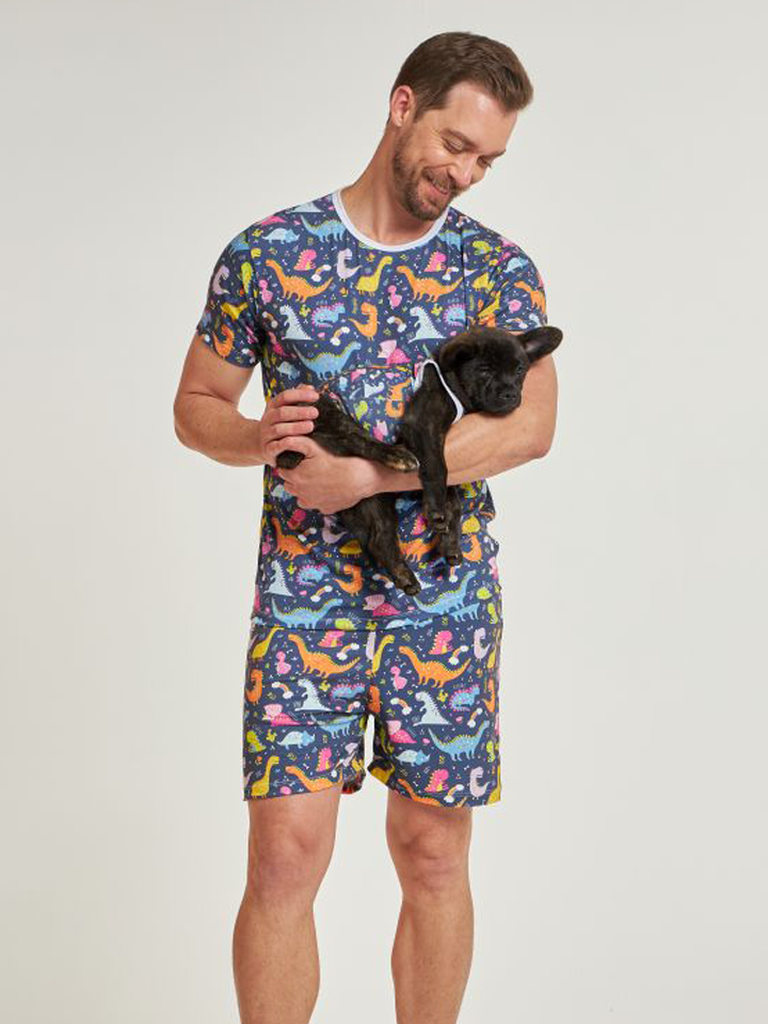 02 divertido tal pai tal pet pijama masculino curto e roupa pet dinossauro