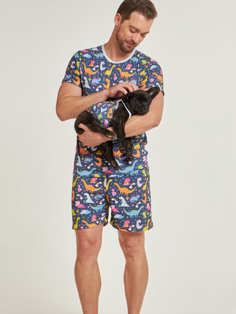 04 divertido tal pai tal pet pijama masculino curto e roupa pet dinossauro