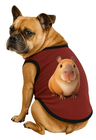 02 roupa pet divertido capivara relax