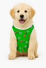 pijama pet verao natal pop